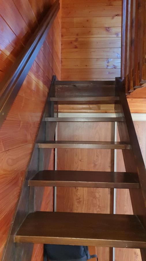 Chalet Individuel Les Sorbiers - 80M2 - Jardin - Barbecue - Wifi - Netflix - Ski & Randonnee - Pyrenees Catalanes Francaises - Eyne Εξωτερικό φωτογραφία